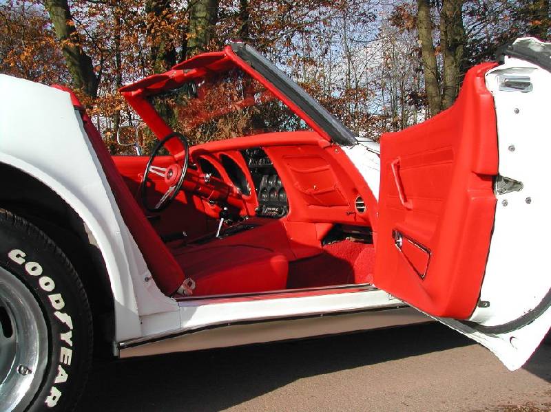 MARTINSRANCH 72 Stingray white red (16) 